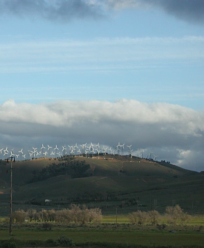 Windmills, Tehachapi, CA.